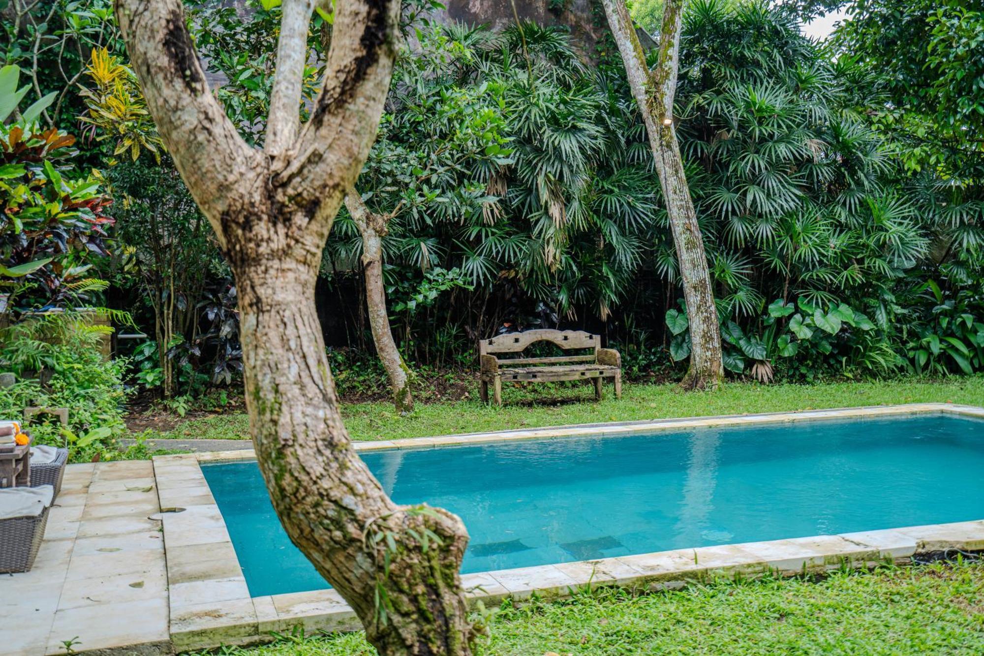 Ruben Villa Ubud - 4 Bedrooms Jungle Home Exterior foto