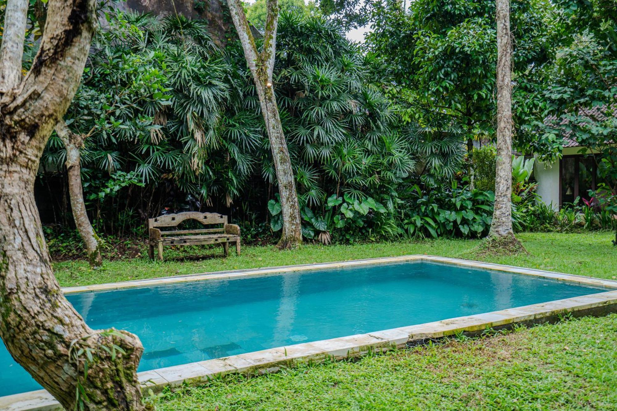 Ruben Villa Ubud - 4 Bedrooms Jungle Home Exterior foto